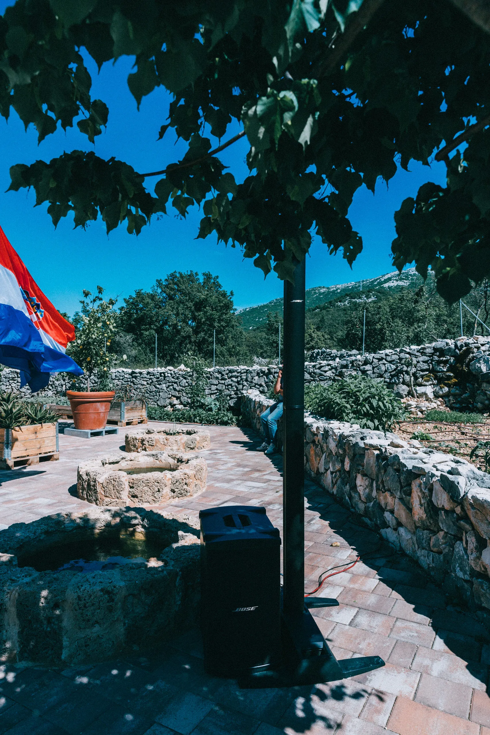 Stella Croatica — Olive Oil Museum Event — evening context