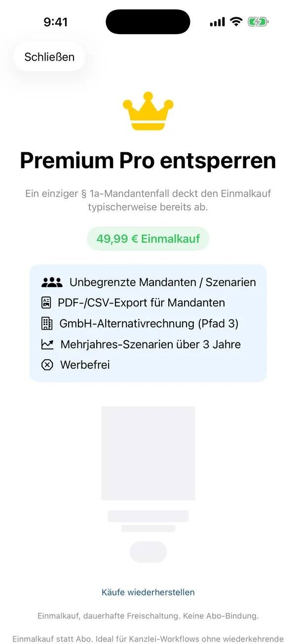 Side-by-side comparison of partnership, § 1a option, and GmbH paths